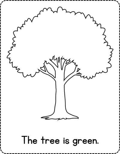 A simple outline of a leafy tree with the sentence The tree is green printed below.
