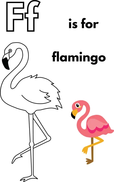 A large outlined letter F, the words is for flamingo, and a flamingo standing on one long leg.