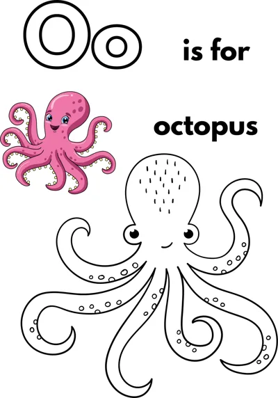 A large outlined letter O, the words is for octopus, and an octopus with eight curling tentacles covered in suckers.