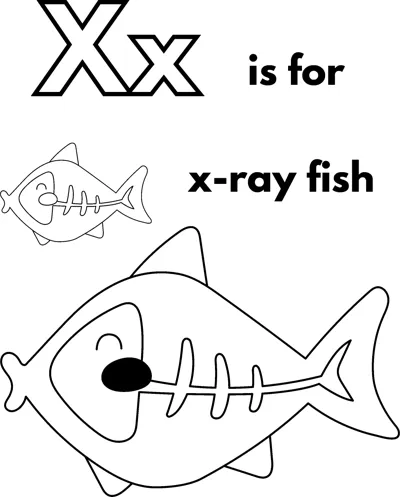 A large outlined letter X, the words is for x-ray fish, and a fish with visible bones.