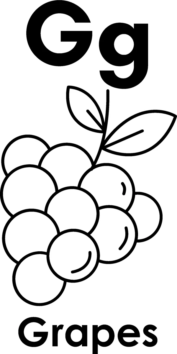 The letters Gg above a bunch of round grapes with two leaves, and the word Grapes printed below.