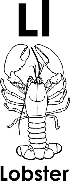 The letters Ll above a lobster with claws, legs and a segmented tail, and the word Lobster printed below.