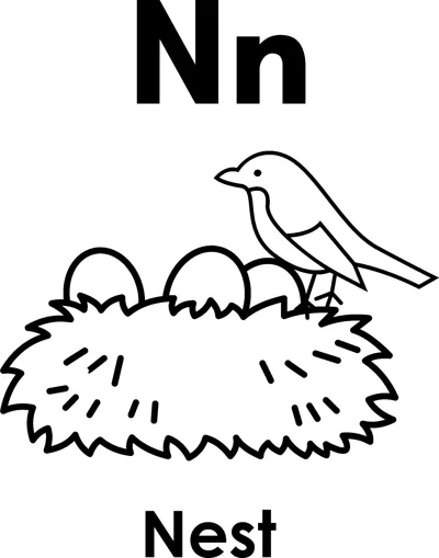 The letters Nn above a bird perched on a twig nest holding three eggs, and the word Nest printed below.