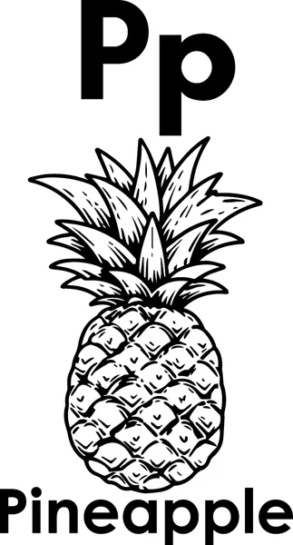 The letters Pp above a pineapple with spiky leaves and a crosshatched body, and the word Pineapple printed below.