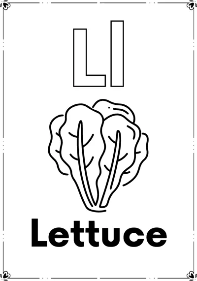 Outlined letters Ll above a head of leafy lettuce and the word Lettuce, inside a decorative frame.