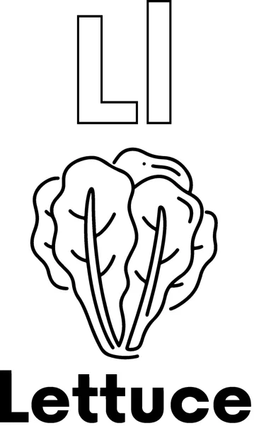 A large outlined letter L above a head of lettuce with wavy leaves, labeled Lettuce.