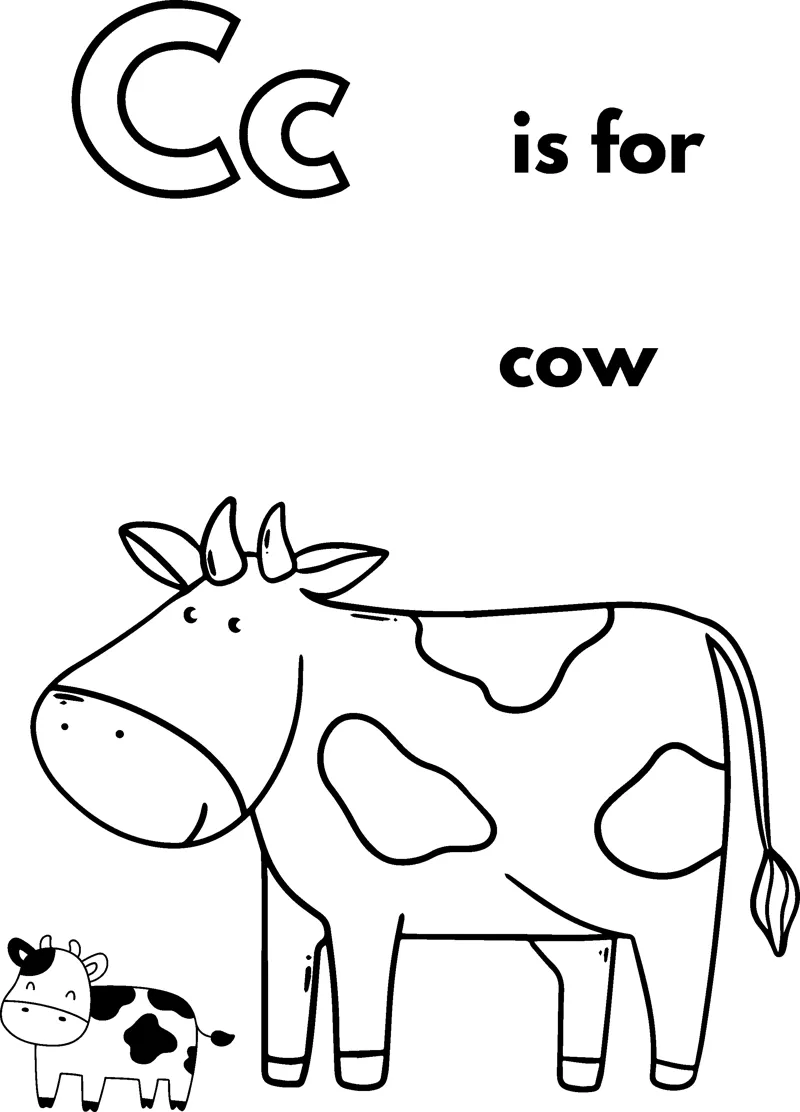 A large outlined letter C, the words is for cow, and a cow with large patches standing in profile.