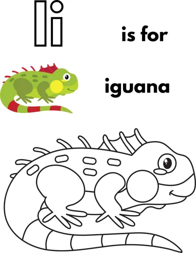 A large outlined letter I, the words is for iguana, and an iguana with a spiky back and long tail.