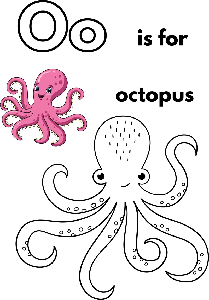 A large outlined letter O, the words is for octopus, and an octopus with eight curling tentacles covered in suckers.