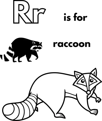 A large outlined letter R, the words is for raccoon, and a raccoon with a masked face and striped tail.