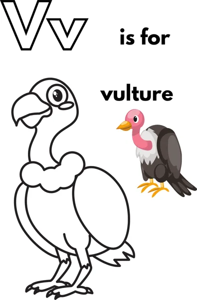 A large outlined letter V, the words is for vulture, and a standing vulture with a hooked beak.