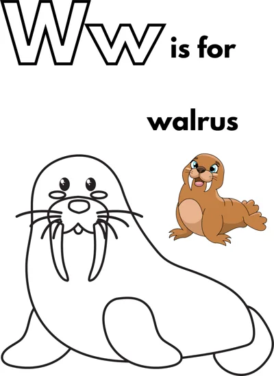 A large outlined letter W, the words is for walrus, and a walrus with long tusks and whiskers.