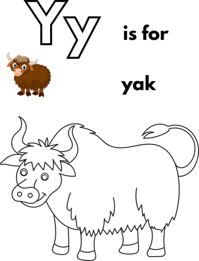 A large outlined letter Y, the words is for yak, and a shaggy yak with curved horns standing in profile.