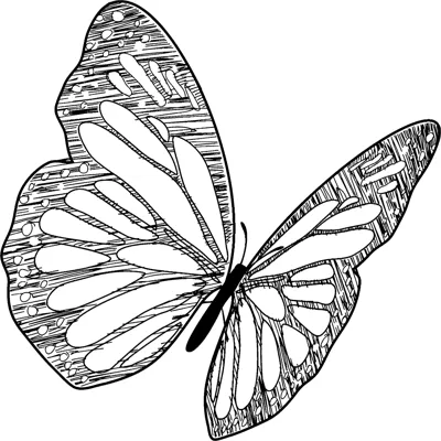 A butterfly in flight with shaded, textured wings is shown at an angle inside a thin frame.