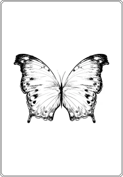 A butterfly with open wings shaded darker toward the edges and small spots sits in a thin frame.