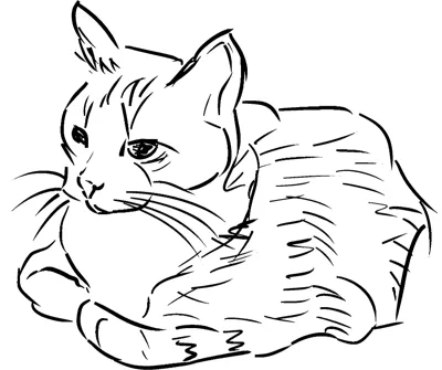A sketched cat lies down with its front paws tucked, facing left, inside a thin frame.