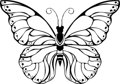 A butterfly with rounded wings, dotted borders and vein cells is centred under a heading.
