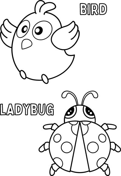 A round bird with raised wings sits above a spotted ladybug, each labelled with its name.