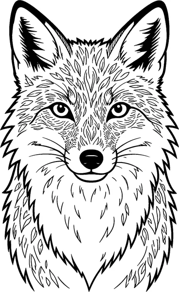 A detailed front-facing fox portrait with tall ears, long whiskers and fur drawn in many small feathery strokes.