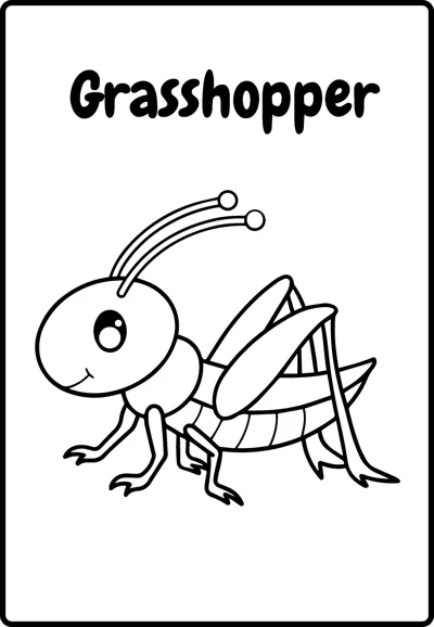 A grasshopper with big eyes, long antennae and bent back legs sits under the word Grasshopper.
