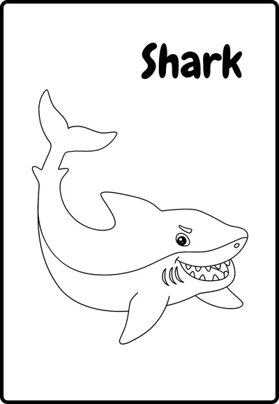 A grinning shark with pointed teeth swims to the right with its tail raised, labelled Shark, inside a rounded frame.