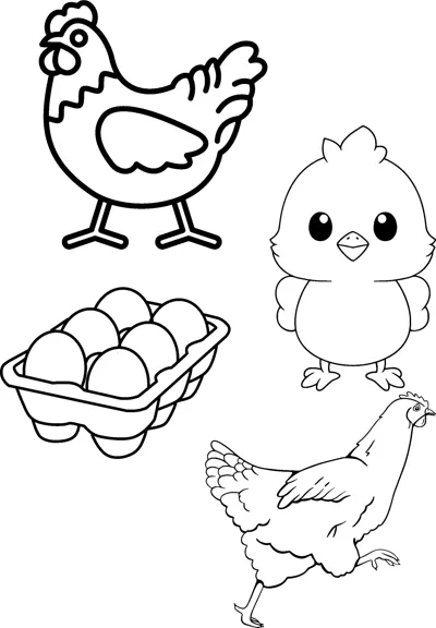 A hen, a fluffy chick, a rooster and a carton of eggs are arranged on the page.