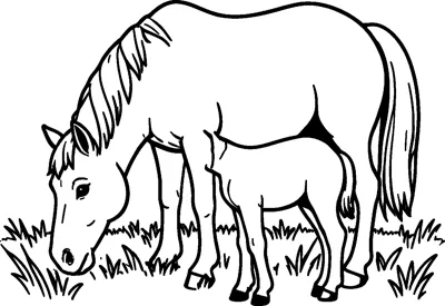 A large horse lowers its head to graze while a small foal stands beside it in long grass.