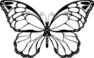 A butterfly with dark bordered wings and inner panels is centred under a Having Fun heading.