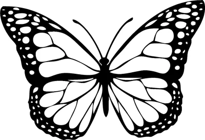 A butterfly with open wings edged in dark borders and white spots sits centered in a thin frame.