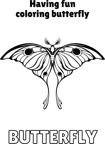 A moth with feathery antennae, eye spots and long trailing tails is centred under a heading.