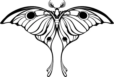 A moth with feathery antennae, eye spots and long trailing tails is centred under a heading.