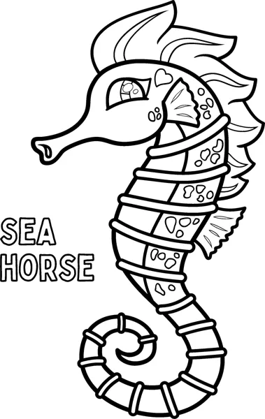 A seahorse with a spiky crest and patterned body curls its tail, with its name beside it.