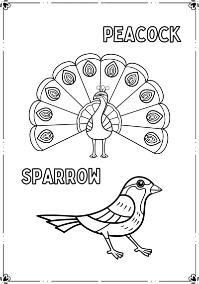 A peacock with a fanned tail and a small sparrow appear inside a frame with name labels.