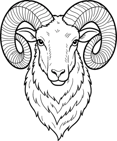 A detailed front view of a ram's head with large spiral horns curling around its ears and a shaggy woolly neck.