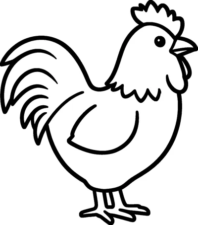 A simple rooster with a tall comb, a wattle, a ruffled neck and a big tail of curved feathers.