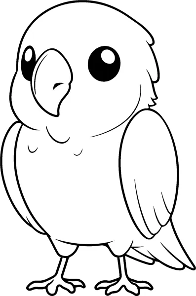 A plump parrot with a big round eye and hooked beak stands facing forward.