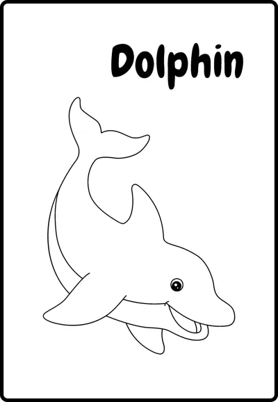 A smiling dolphin leaps upward with its tail raised, labelled Dolphin, inside a rounded frame.