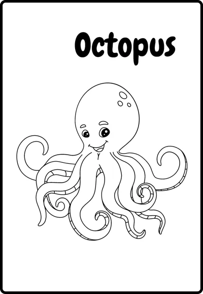 A smiling octopus with a round head and eight curling arms, labelled Octopus, inside a rounded frame.
