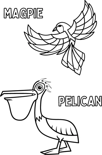 A magpie flies with spread wings above a pelican with a huge beak, both labelled by name.