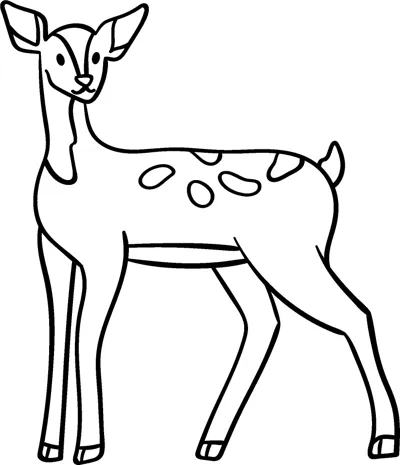 A young deer with spots on its back and big ears stands on slender legs.