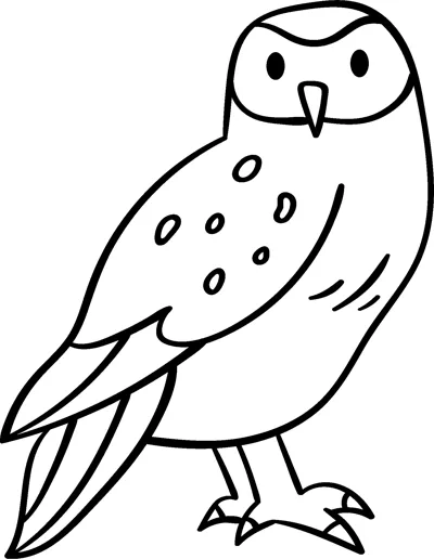 A tall owl with a spotted chest and long folded wing stands upright facing forward.