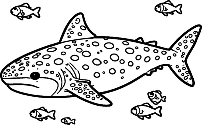 A large whale shark covered in round spots swims to the left with five small fish around it.