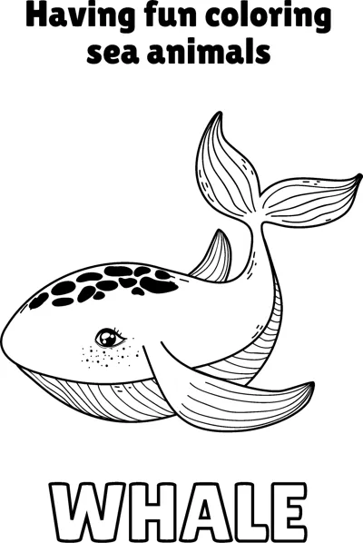 A smiling whale with dark spots and a striped belly swims under a Having Fun heading.