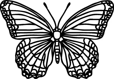 A butterfly with striped, scalloped wings is centred under a Having Fun heading.
