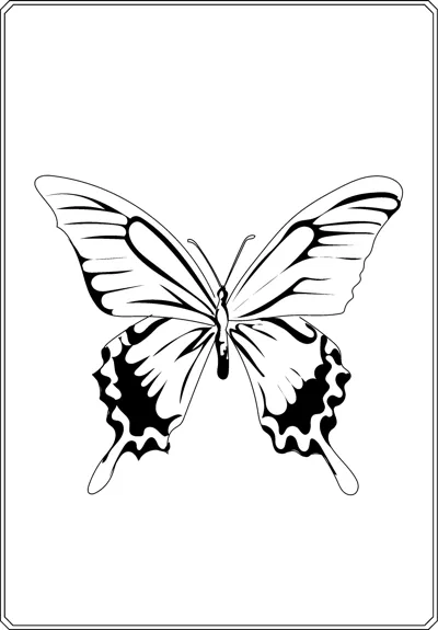 A swallowtail butterfly with dark patterned lower wings and tail points sits centered in a thin frame.