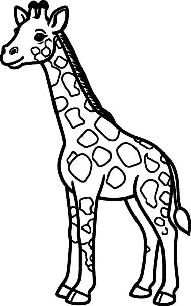 A giraffe stands in side view on a plain page, with large simple spots, a short mane and dark hooves.
