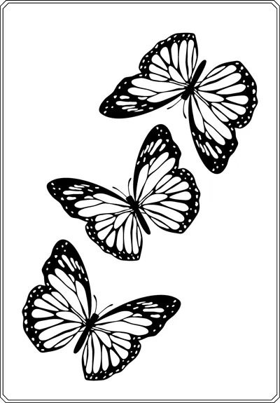 Three butterflies with patterned wings fly diagonally up the page inside a thin border.
