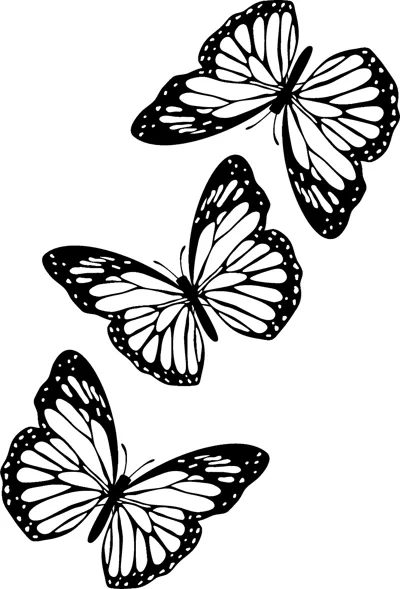 Three butterflies with patterned wings fly diagonally up the page inside a thin border.