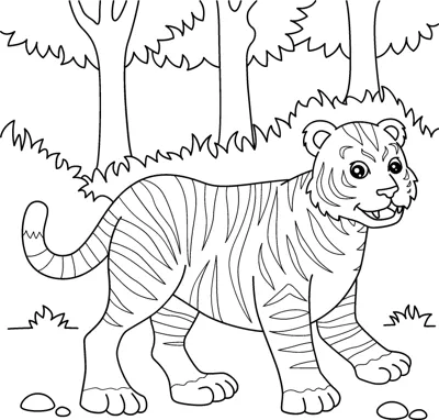 A striped tiger walks across the forest floor with tall trees behind it.