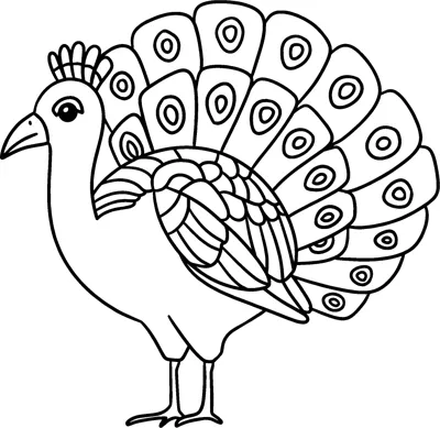 A turkey with a fanned tail of eye-spotted feathers stands facing left.
